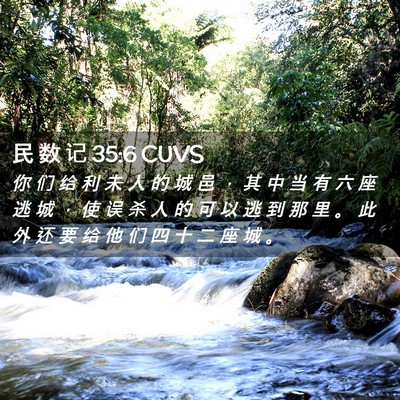 Picture 02 - 民 数 记 35:6 CUVS - 你 们 给 利 未 人 的 城 邑 ， 其 中 - Bible Verse Picture