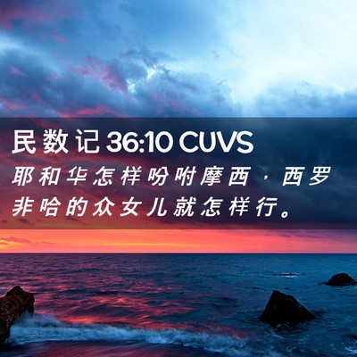 Picture 02 - 民 数 记 36:10 CUVS - 耶 和 华 怎 样 吩 咐 摩 西 ， 西 罗 - Bible Verse Picture