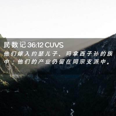 Picture 02 - 民 数 记 36:12 CUVS - 他 们 嫁 入 约 瑟 儿 子 、 玛 拿 西 - Bible Verse Picture