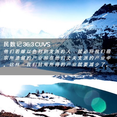 Picture 02 - 民 数 记 36:3 CUVS - 他 们 若 嫁 以 色 列 别 支 派 的 人 - Bible Verse Picture