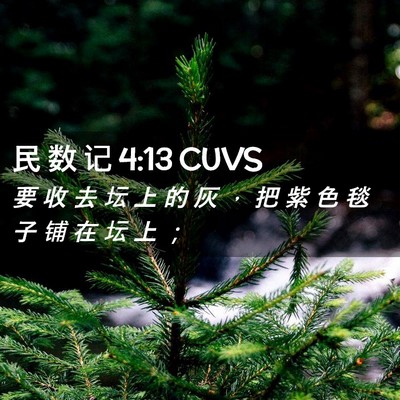 Picture 02 - 民 数 记 4:13 CUVS - 要 收 去 坛 上 的 灰 ， 把 紫 色 毯 - Bible Verse Picture
