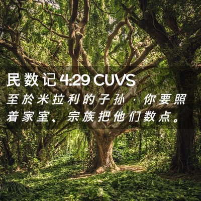 Picture 02 - 民 数 记 4:29 CUVS - 至 於 米 拉 利 的 子 孙 ， 你 要 照 - Bible Verse Picture