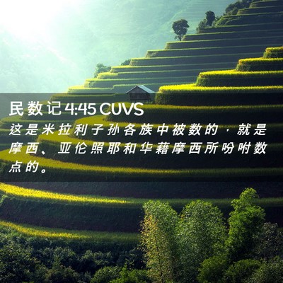 Picture 02 - 民 数 记 4:45 CUVS - 这 是 米 拉 利 子 孙 各 族 中 被 数 - Bible Verse Picture