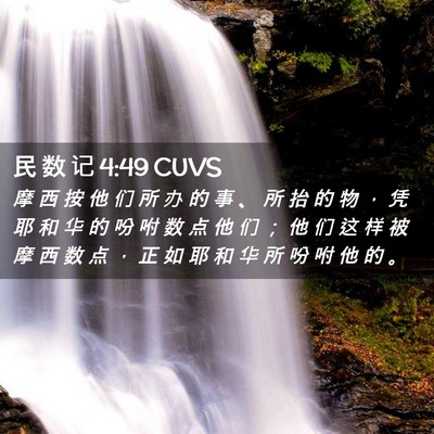 Picture 02 - 民 数 记 4:49 CUVS - 摩 西 按 他 们 所 办 的 事 、 所 抬 - Bible Verse Picture