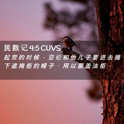 Picture 02 - 民 数 记 4:5 CUVS - 起 营 的 时 候 ， 亚 伦 和 他 儿 子 - Bible Verse Picture
