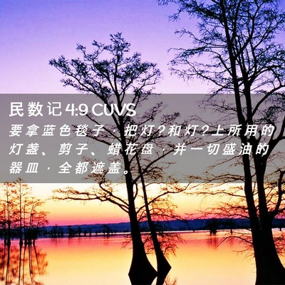 Picture 02 - 民 数 记 4:9 CUVS - 要 拿 蓝 色 毯 子 ， 把 灯 ? 和 灯 ? - Bible Verse Picture
