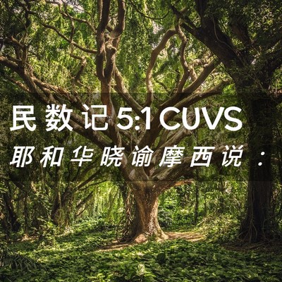 Picture 02 - 民 数 记 5:1 CUVS - 耶 和 华 晓 谕 摩 西 说 - Bible Verse Picture