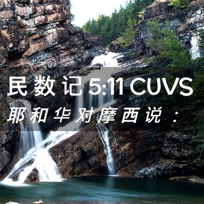 Picture 02 - 民 数 记 5:11 CUVS - 耶 和 华 对 摩 西 说 - Bible Verse Picture