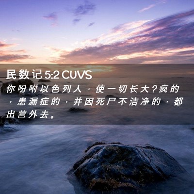 Picture 02 - 民 数 记 5:2 CUVS - 你 吩 咐 以 色 列 人 ， 使 一 切 长 - Bible Verse Picture