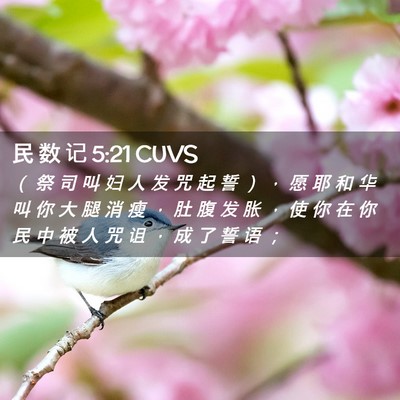 Picture 02 - 民 数 记 5:21 CUVS - （ 祭 司 叫 妇 人 发 咒 起 誓 ） ， - Bible Verse Picture