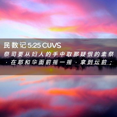 Picture 02 - 民 数 记 5:25 CUVS - 祭 司 要 从 妇 人 的 手 中 取 那 疑 - Bible Verse Picture