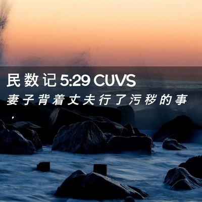 Picture 02 - 民 数 记 5:29 CUVS - 妻 子 背 着 丈 夫 行 了 污 秽 的 事 - Bible Verse Picture