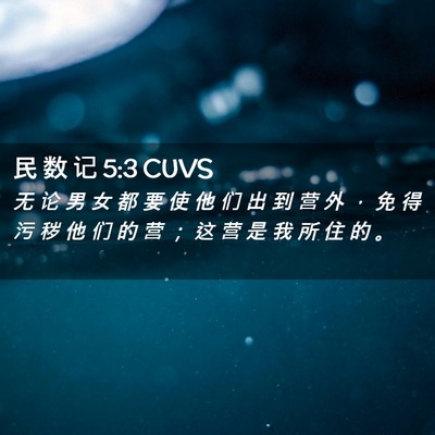 Picture 02 - 民 数 记 5:3 CUVS - 无 论 男 女 都 要 使 他 们 出 到 营 - Bible Verse Picture