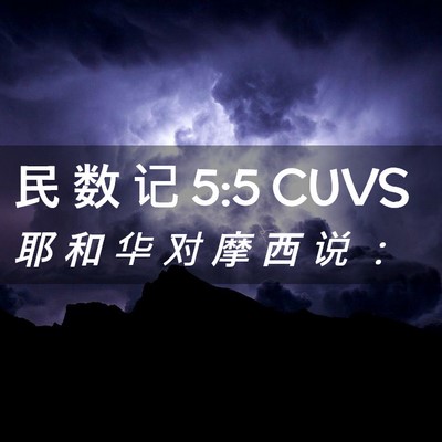 Picture 02 - 民 数 记 5:5 CUVS - 耶 和 华 对 摩 西 说 - Bible Verse Picture