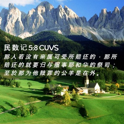 Picture 02 - 民 数 记 5:8 CUVS - 那 人 若 没 有 亲 属 可 受 所 赔 还 - Bible Verse Picture