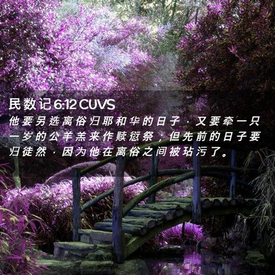 Picture 02 - 民 数 记 6:12 CUVS - 他 要 另 选 离 俗 归 耶 和 华 的 日 - Bible Verse Picture