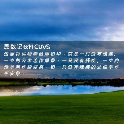 Picture 02 - 民 数 记 6:14 CUVS - 他 要 将 供 物 奉 给 耶 和 华 ， 就 - Bible Verse Picture