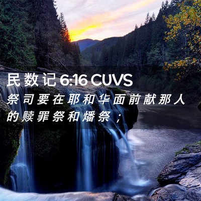 Picture 02 - 民 数 记 6:16 CUVS - 祭 司 要 在 耶 和 华 面 前 献 那 人 - Bible Verse Picture