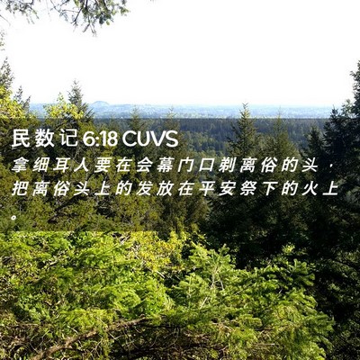 Picture 02 - 民 数 记 6:18 CUVS - 拿 细 耳 人 要 在 会 幕 门 口 剃 离 - Bible Verse Picture