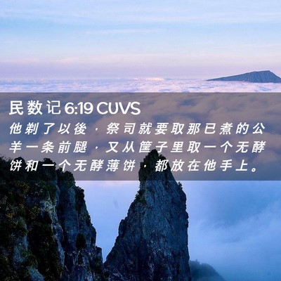 Picture 02 - 民 数 记 6:19 CUVS - 他 剃 了 以 後 ， 祭 司 就 要 取 那 - Bible Verse Picture