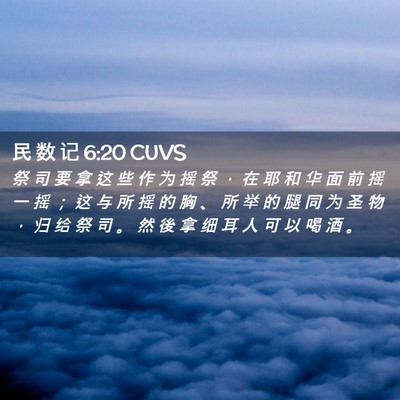 Picture 02 - 民 数 记 6:20 CUVS - 祭 司 要 拿 这 些 作 为 摇 祭 ， 在 - Bible Verse Picture