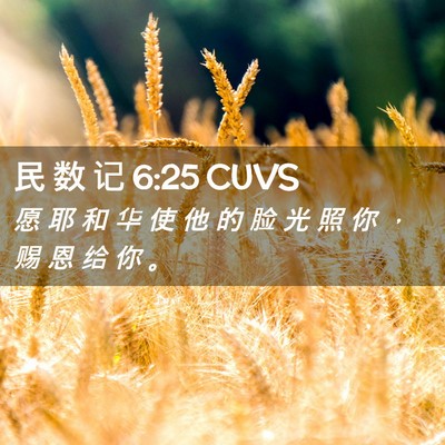 Picture 02 - 民 数 记 6:25 CUVS - 愿 耶 和 华 使 他 的 脸 光 照 你 ， - Bible Verse Picture