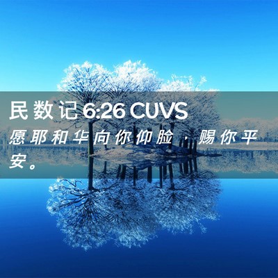 Picture 02 - 民 数 记 6:26 CUVS - 愿 耶 和 华 向 你 仰 脸 ， 赐 你 平 - Bible Verse Picture