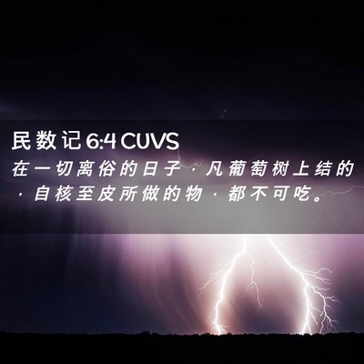 Picture 02 - 民 数 记 6:4 CUVS - 在 一 切 离 俗 的 日 子 ， 凡 葡 萄 - Bible Verse Picture