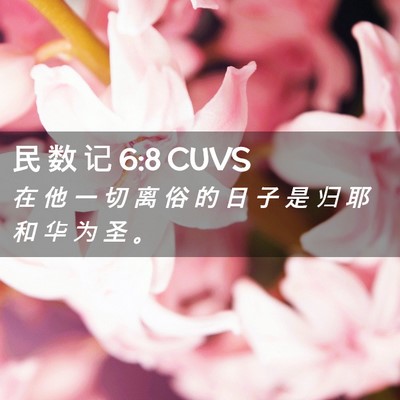 Picture 02 - 民 数 记 6:8 CUVS - 在 他 一 切 离 俗 的 日 子 是 归 耶 - Bible Verse Picture