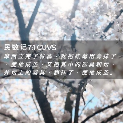 Picture 02 - 民 数 记 7:1 CUVS - 摩 西 立 完 了 帐 幕 ， 就 把 帐 幕 - Bible Verse Picture