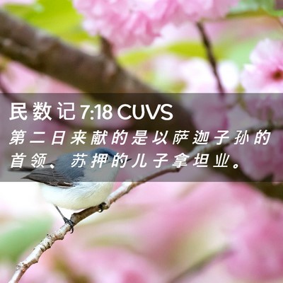 Picture 02 - 民 数 记 7:18 CUVS - 第 二 日 来 献 的 是 以 萨 迦 子 孙 - Bible Verse Picture