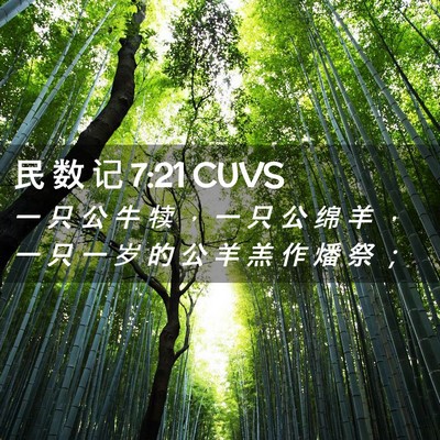 Picture 02 - 民 数 记 7:21 CUVS - 一 只 公 牛 犊 ， 一 只 公 绵 羊 ， - Bible Verse Picture