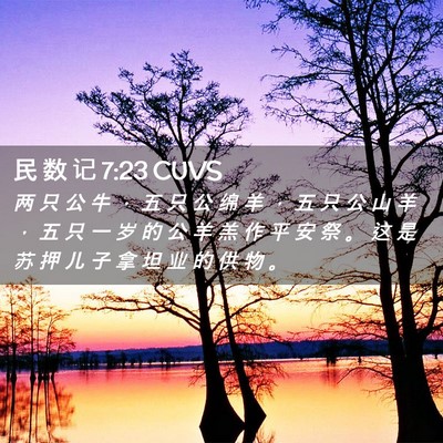 Picture 02 - 民 数 记 7:23 CUVS - 两 只 公 牛 ， 五 只 公 绵 羊 ， 五 - Bible Verse Picture