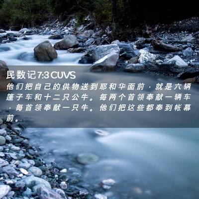 Picture 02 - 民 数 记 7:3 CUVS - 他 们 把 自 己 的 供 物 送 到 耶 和 - Bible Verse Picture