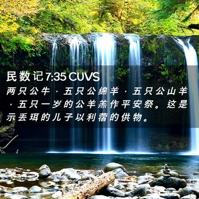 Picture 02 - 民 数 记 7:35 CUVS - 两 只 公 牛 ， 五 只 公 绵 羊 ， 五 - Bible Verse Picture