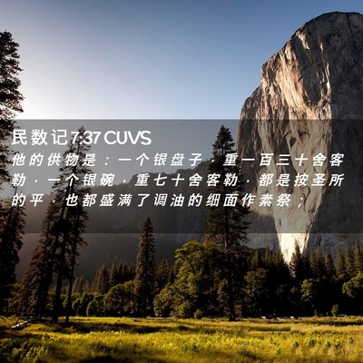 Picture 02 - 民 数 记 7:37 CUVS - 他 的 供 物 是 ： 一 个 银 盘 子 ， - Bible Verse Picture
