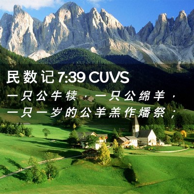 Picture 02 - 民 数 记 7:39 CUVS - 一 只 公 牛 犊 ， 一 只 公 绵 羊 ， - Bible Verse Picture