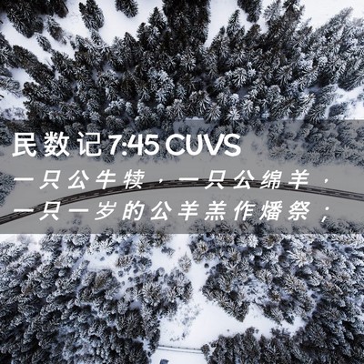 Picture 02 - 民 数 记 7:45 CUVS - 一 只 公 牛 犊 ， 一 只 公 绵 羊 ， - Bible Verse Picture
