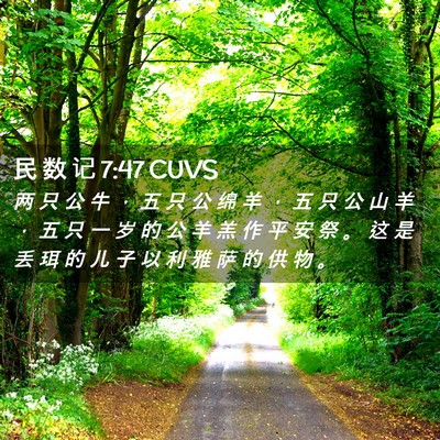 Picture 02 - 民 数 记 7:47 CUVS - 两 只 公 牛 ， 五 只 公 绵 羊 ， 五 - Bible Verse Picture