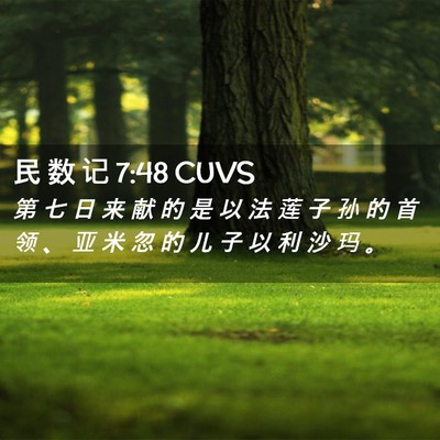 Picture 02 - 民 数 记 7:48 CUVS - 第 七 日 来 献 的 是 以 法 莲 子 孙 - Bible Verse Picture