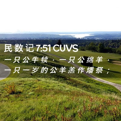 Picture 02 - 民 数 记 7:51 CUVS - 一 只 公 牛 犊 ， 一 只 公 绵 羊 ， - Bible Verse Picture