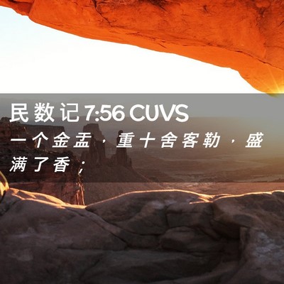 Picture 02 - 民 数 记 7:56 CUVS - 一 个 金 盂 ， 重 十 舍 客 勒 ， 盛 - Bible Verse Picture