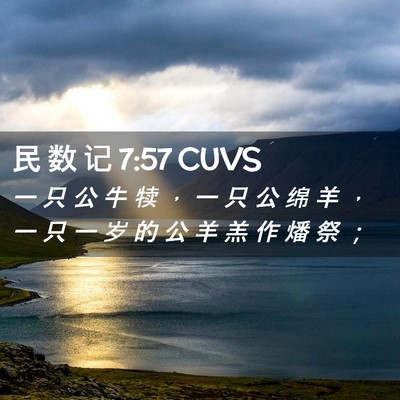 Picture 02 - 民 数 记 7:57 CUVS - 一 只 公 牛 犊 ， 一 只 公 绵 羊 ， - Bible Verse Picture