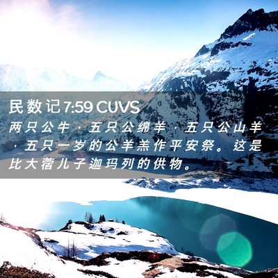 Picture 02 - 民 数 记 7:59 CUVS - 两 只 公 牛 ， 五 只 公 绵 羊 ， 五 - Bible Verse Picture