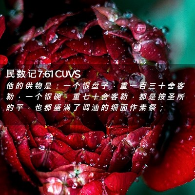 Picture 02 - 民 数 记 7:61 CUVS - 他 的 供 物 是 ： 一 个 银 盘 子 ， - Bible Verse Picture