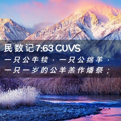Picture 02 - 民 数 记 7:63 CUVS - 一 只 公 牛 犊 ， 一 只 公 绵 羊 ， - Bible Verse Picture