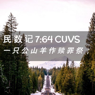 Picture 02 - 民 数 记 7:64 CUVS - 一 只 公 山 羊 作 赎 罪 祭 - Bible Verse Picture