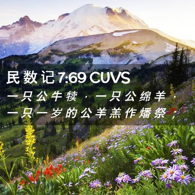 Picture 02 - 民 数 记 7:69 CUVS - 一 只 公 牛 犊 ， 一 只 公 绵 羊 ， - Bible Verse Picture