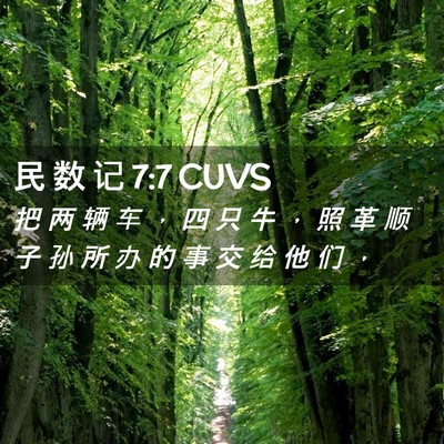 Picture 02 - 民 数 记 7:7 CUVS - 把 两 辆 车 ， 四 只 牛 ， 照 革 顺 - Bible Verse Picture