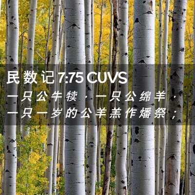 Picture 02 - 民 数 记 7:75 CUVS - 一 只 公 牛 犊 ， 一 只 公 绵 羊 ， - Bible Verse Picture